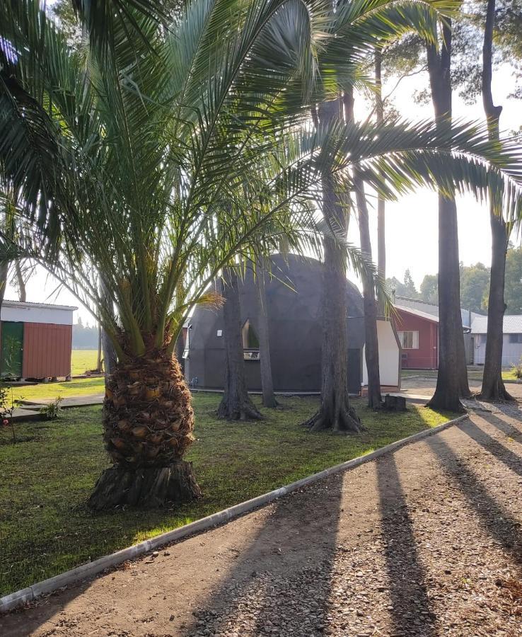 Casa de férias Domo Las Araucarias