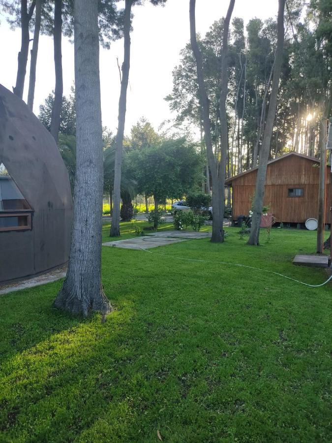Domo Las Araucarias Casa de férias Negrete