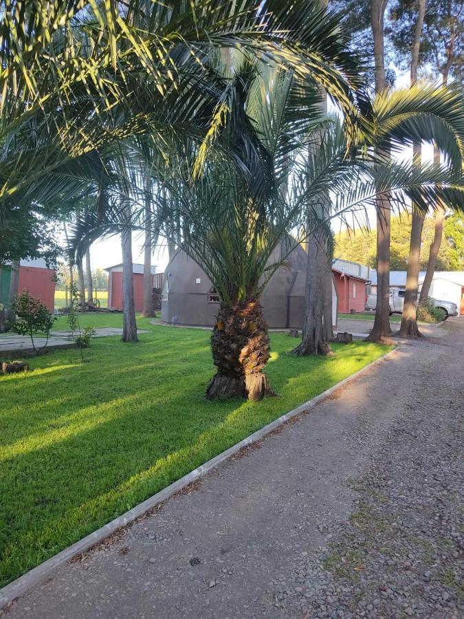 Domo Las Araucarias Casa de férias