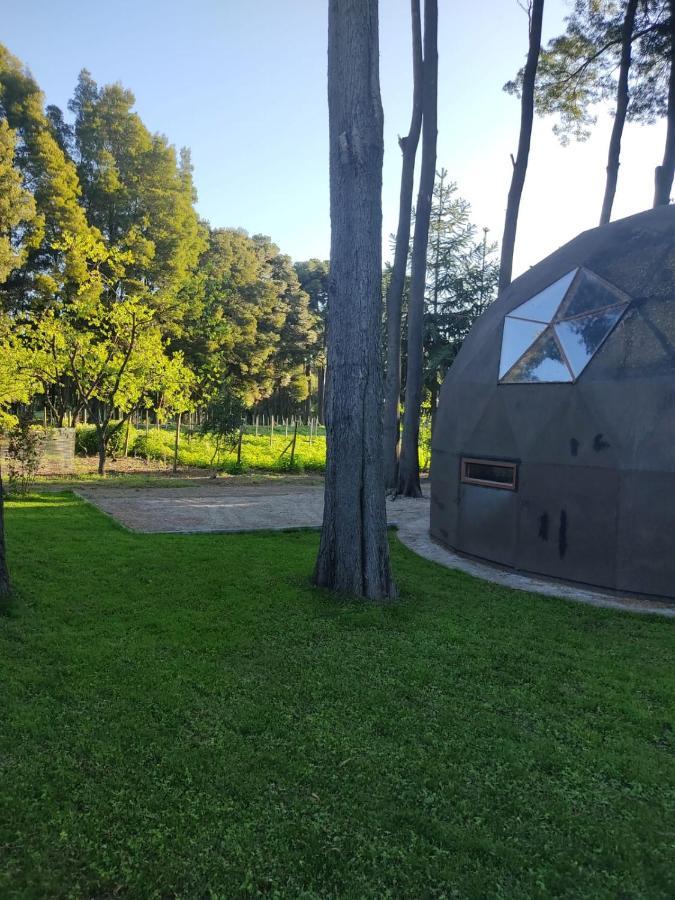 Domo Las Araucarias *