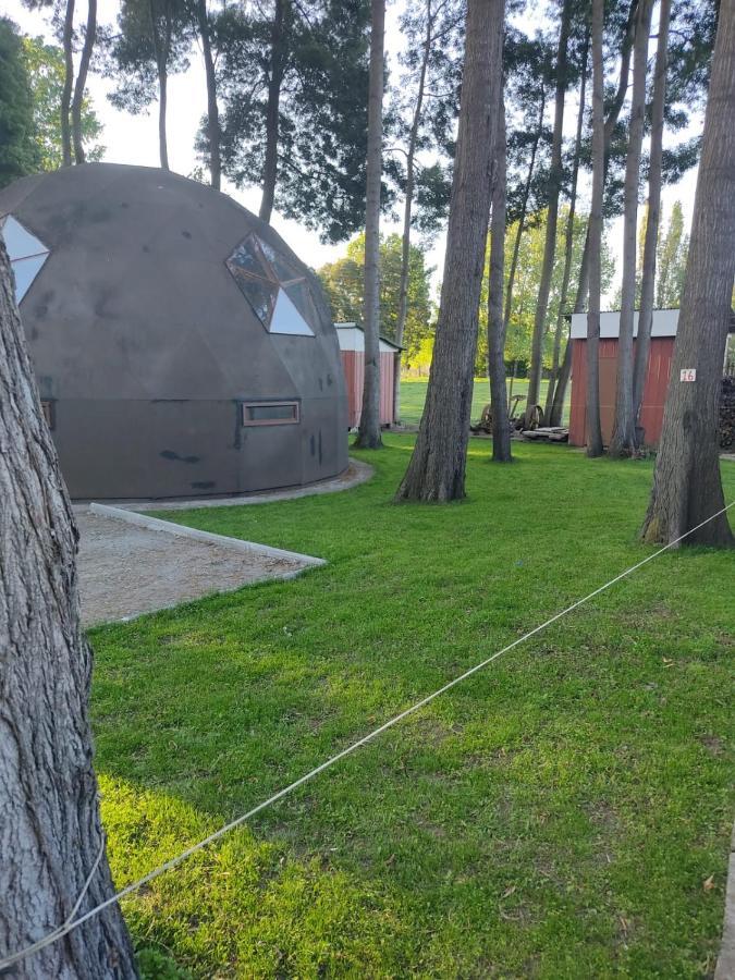 Domo Las Araucarias *